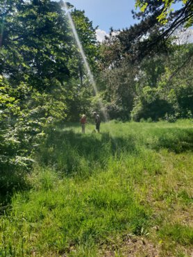 kräuterwanderung